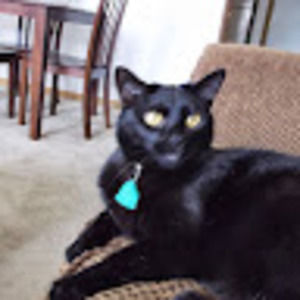 Meet your Posher, Vicki